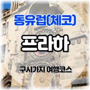 프라하 여행 코스 구시가지 광장 화약탑 천문시계 굴뚝빵(뜨르들로)까지!