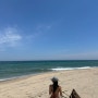 양양 노지캠핑🏖️ (여름 동해 여행)