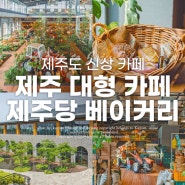 제주 최대 규모 대형 카페! 제주당 베이커리 메뉴, 가격, 포토존