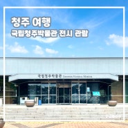 충북 청주 실내 가볼만한곳 국립청주박물관 해설 예약 여름에 아이와 여행 추천