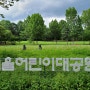 서울 어린이대공원 녹음이 우거진 산책하기 좋은 곳(ft. 주차)