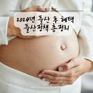 2024년 임산부 출산 후 혜택 출산정책 총정리