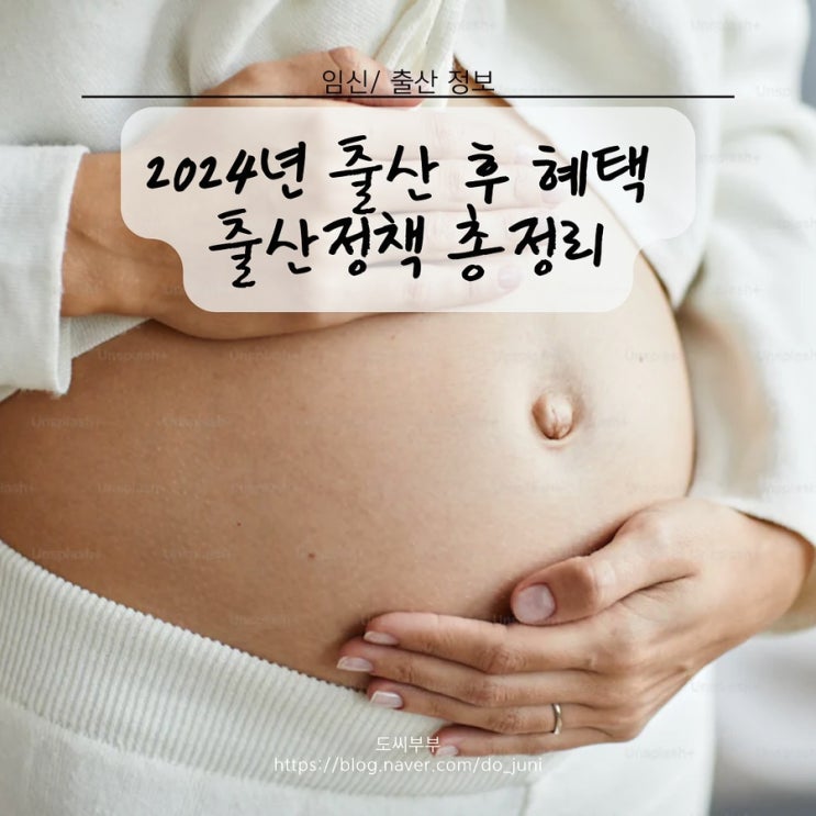 2024년 임산부 출산 후 혜택 출산정책 총정리 : 네이버 블로그