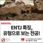 ENTJ 특징, MBTI 유형으로 보는 대학 전공