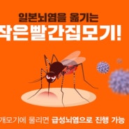 돌접종 일본뇌염 생백신 사백신 차이