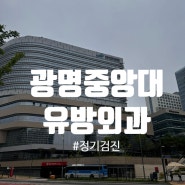 광명중앙대 유방외과 정기검진-'김이수교수님' 명의