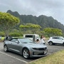 하와이 태교여행 4일차: 허츠렌터카(범블비)/하와이드라이브/지오반니 갈릭쉬림프/샥스코브/돌플랜테이션/와이켈레아울렛/코스트코