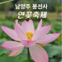 남양주 봉선사 연꽃 축제 7월19일부터