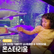 [경기/김포] 김포 아이랑 가볼만한 실내동물원 & 아쿠아리움 추천, 몬스터리움