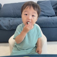 아빠표 유아식 초간단 햄치즈김밥 만들기