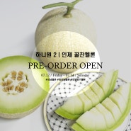 [PRE-ORDER OPEN] 강남멜론, 회장님 멜론, 호텔 빙수 멜론으로 유명한 인제 꿀찬 멜론 / 하니원 2 멜론 공구 합니다