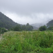 제천토지/ 제천시 봉양읍 탁사정인근 구름이 머무는마을 계획관리지역토지 급매매 1,805㎡(546평) 8,800만원