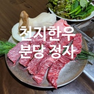 [천지한우 / 분당 정자] 한우 먹기에 너무 좋은 분당 한우맛집