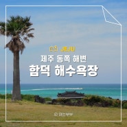 제주 동쪽 해변 함덕해수욕장 물놀이 샤워실