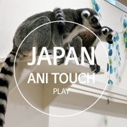 일본 Life!..PLAY 편 / 요코하마 애니텃치 (Ft. 비오는 날 가기 좋은 실내 동물원)