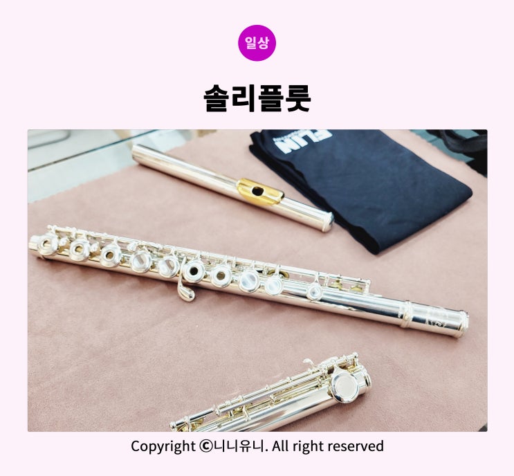 일상 : 플룻 수리 받으러 다녀온 솔리플룻 (대구 플룻수리 AS/코르크교환) : 네이버 블로그
