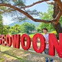 경기도 포천 서운동산 꽃구경 동물원