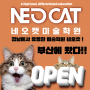 부산미술학원 네오캣 open 서울 강남 상위권 미대입시명문 동래 양산덕계 정관 구서 동 부산입시미술학원