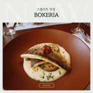 스플리트 해산물 맛집 보케리아 BOKERIA 찐맛있음