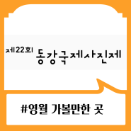 강원도 영월 여름 여행지 :: 제22회 동강국제사진제