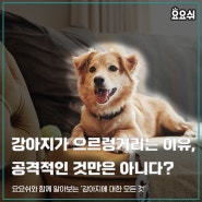 강아지가 으르렁거리는 이유, 공격적인 것만은 아니다?