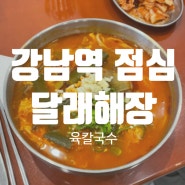 강남역 4번출구 혼밥 점심 달래해장 강남역플래티넘점