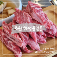 융건릉맛집 초원 화성융건릉 참숯 소갈비살 전문점
