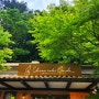 후지산 가와구치코 호수 카페 가와구치코 치즈케이크 가든 Kawaguchiko Cheesecake Garden