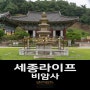 [세종라이프] 비암사