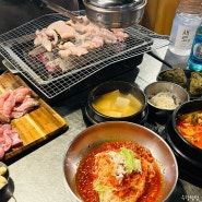 대전 엑스포 근처 맛집 계인기 :: 만년동 숯불닭구이 맛집 모둠 한판 후기