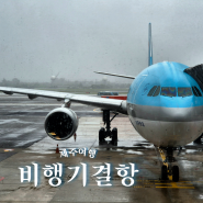 비행기 결항 지연 대처 제주공항 대한항공 티웨이 환불 보상