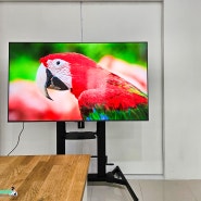 스마트 TV TCL C655 QLED TV 선명한 화질 스펙!