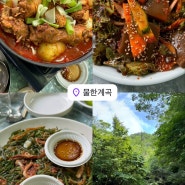 대전근교 계곡 물한계곡 민주가든 닭도리탕 평상 내돈내산 후기(24.07.13기준)