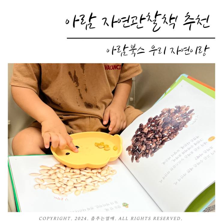 아람 자연관찰책 추천 아람북스 자연이랑 전집 실사로 실감나게 : 네이버 블로그