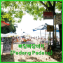 발리 여행, 남부 비치 추천 아름다운 빠당빠당 비치(Padang Padang beach)