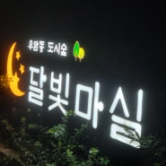 부산 달빛마실 '우암동 도시숲' 야경이 끝내준다는데?(ft,예수상)