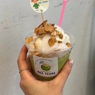 🍨 나트랑 CocoLy 아이스크림, 꼭 아보카도 아이스크림 드세요! 🥑