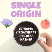 Single Origin / 에티오피아 예가체프 첼베사 워시드 [Specialty]
