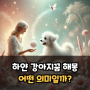 하얀 강아지꿈 해몽 어떤 의미일까?