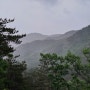 5월 관악산(우중산행)