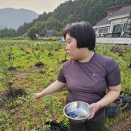 우리 딸! 할 수 있네?! 농사꾼은 아니어도 농사 알바~