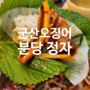 [군산 오징어 / 분당 정자] 오삼불고기가 맛있는 36년 전통 정자역 맛집