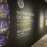 파리 노트르담 대성당 증강현실 특별전