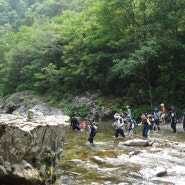 인제 아침가리골, 원시림 계곡 물길따라 트레킹