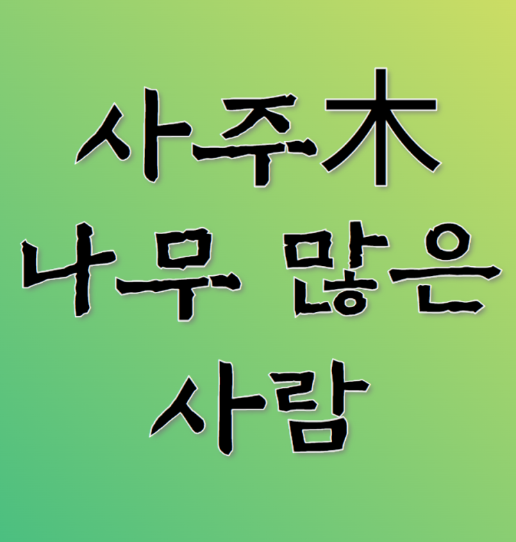 사주 나무 목 많은 사람 없는 사람 : 네이버 블로그