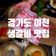 경기도 이천 돼지 갈비 맛집 오동추야