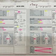 체지방만 빠지는 다이어트