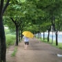 비오는 날 맨발걷기 좋은곳 : 하남 당정뜰 제방도로 모랫길