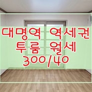 남구 대명동 역세권의 부분수리된 저렴한 대구 투룸 월세-300/40