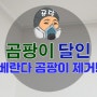 베란다 곰팡이 제거 창고 재발 없이 끝내기